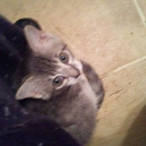 Meet your Posher, Teresa